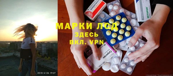 стафф Арсеньев