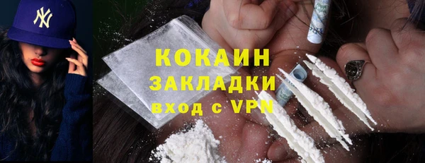 стафф Арсеньев