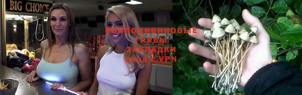 стафф Арсеньев