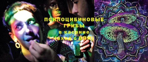 стафф Арсеньев