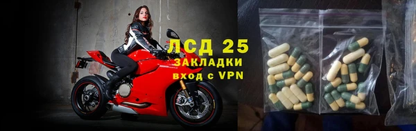 стафф Арсеньев