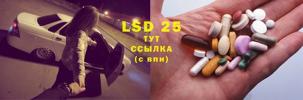 стафф Арсеньев