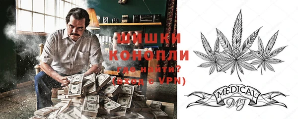 ПСИЛОЦИБИНОВЫЕ ГРИБЫ Армянск