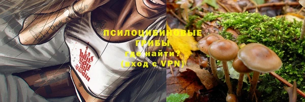 стафф Арсеньев