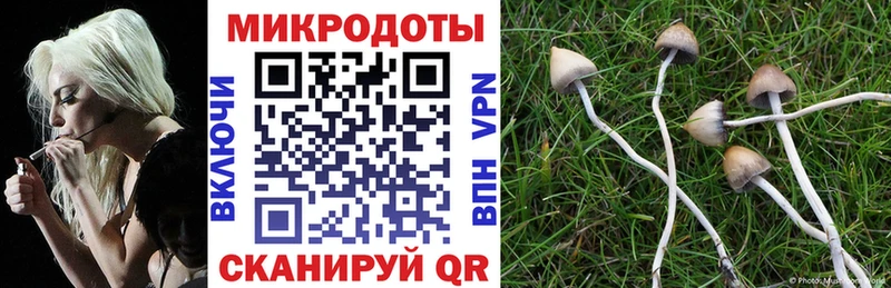 Купить Гусь-Хрустальный Псилоцибиновые грибы Cubensis